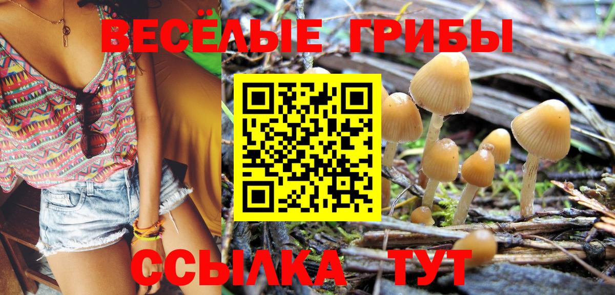 Курск  Псилоцибиновые грибы Cubensis  купить закладку  Вход с VPN 