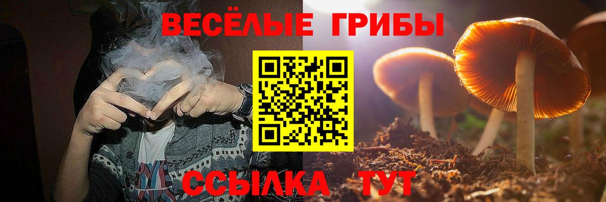 Галлюциногенные грибы мицелий Курск